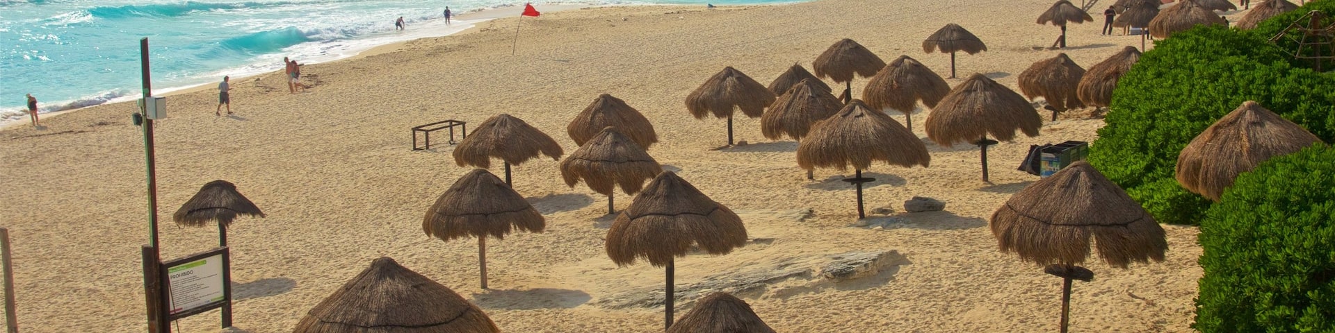 デルフィネス ビーチ 表示 海岸線の眺め, 常夏の風景 と ビーチ