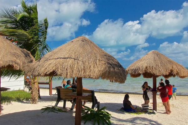 Las Perlas Beach which includes a beach, tropical scenes and general coastal views