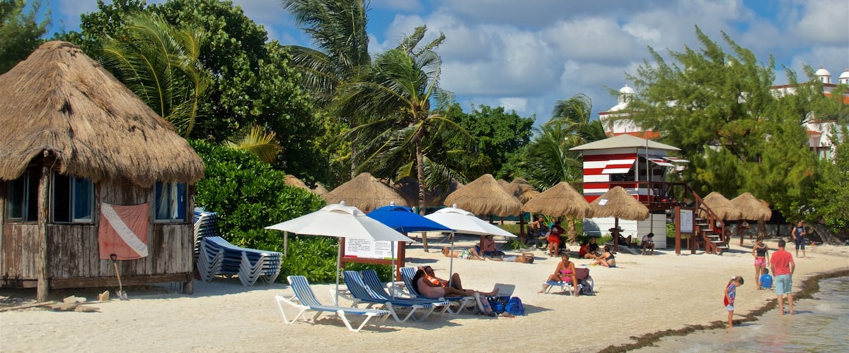 Playa las Perlas que incluye una playa, escenas tropicales y vistas generales de la costa