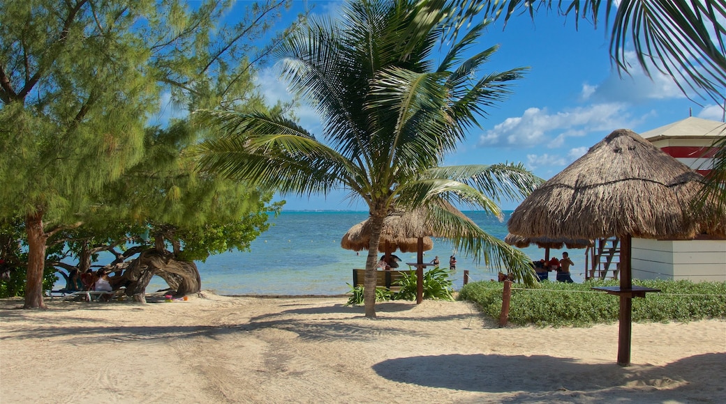 Playa las Perlas ofreciendo una playa de arena, vistas generales de la costa y escenas tropicales