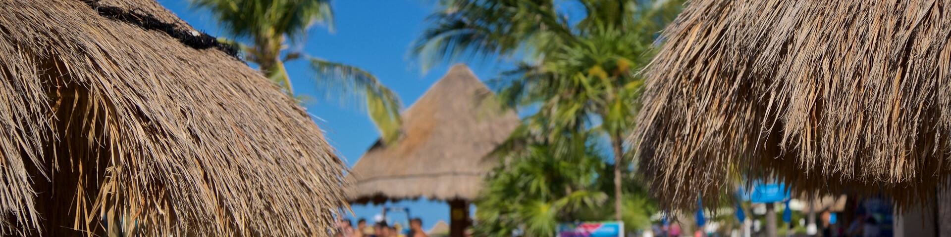 Dolphin Discovery showing tropical scenes, a luxury hotel or resort and a pool