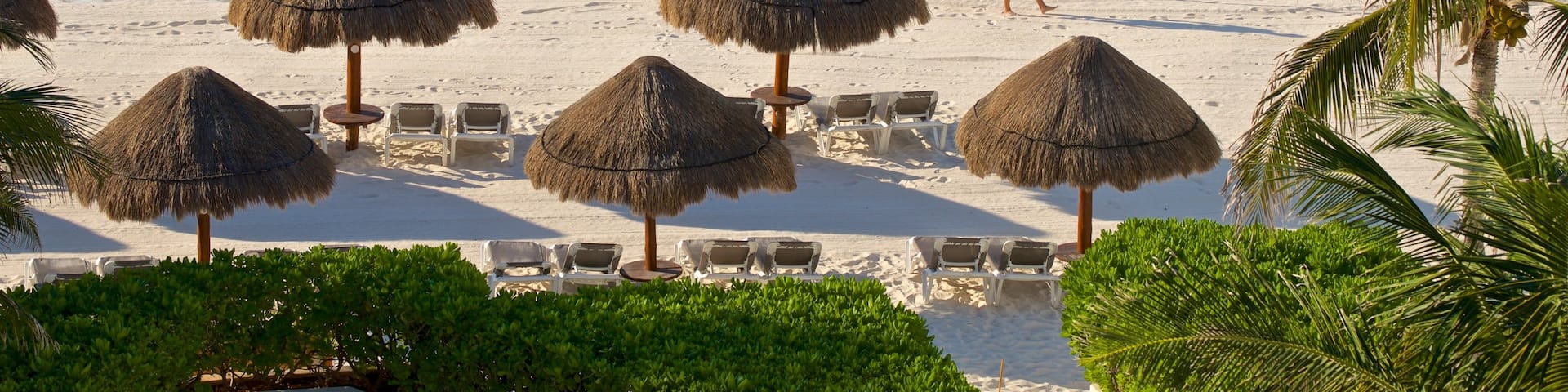 Gaviota Azul Beach showing general coastal views, a beach and tropical scenes