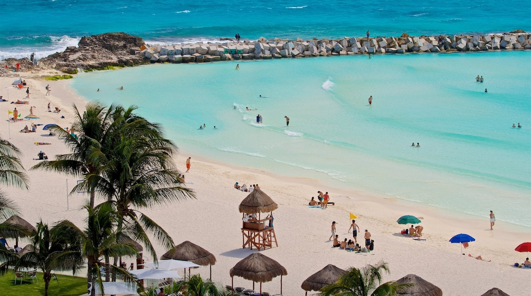 Gaviota Azul Beach featuring tropical scenes, swimming and a beach