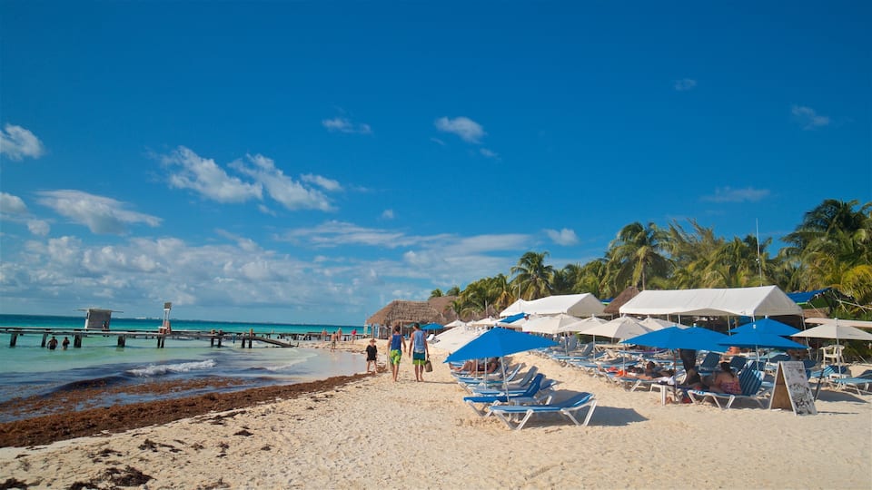 Norte Beach featuring general coastal views, tropical scenes and a beach