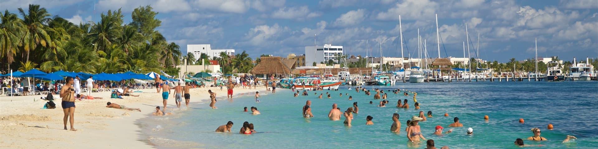 Norte Beach which includes swimming, a sandy beach and tropical scenes