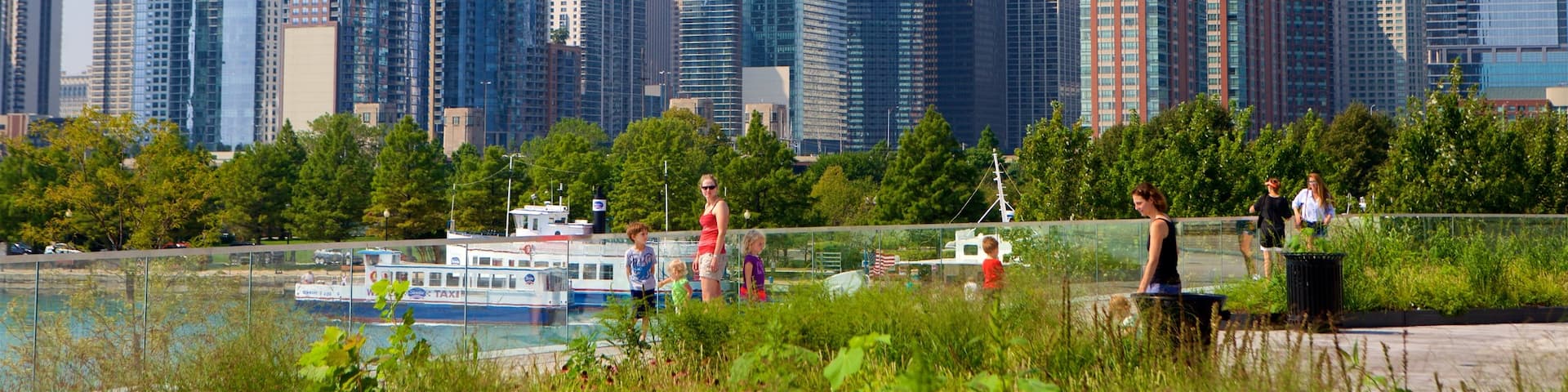 シカゴ 表示 都市 と 摩天楼 及び 家族