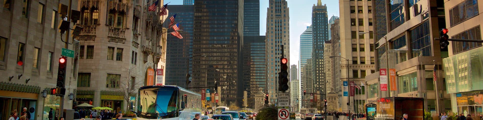 Centre-ville de Chicago montrant ville