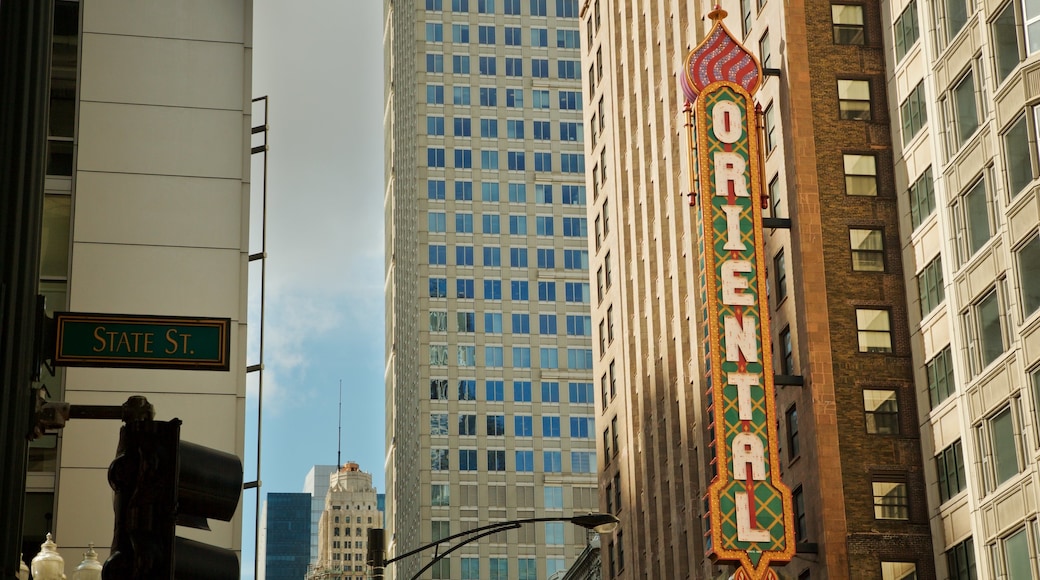 Downtown Chicago showing signage and a city