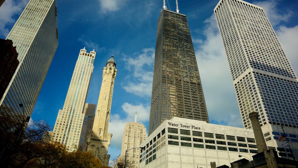 Downtown Chicago che include città e casa a torre