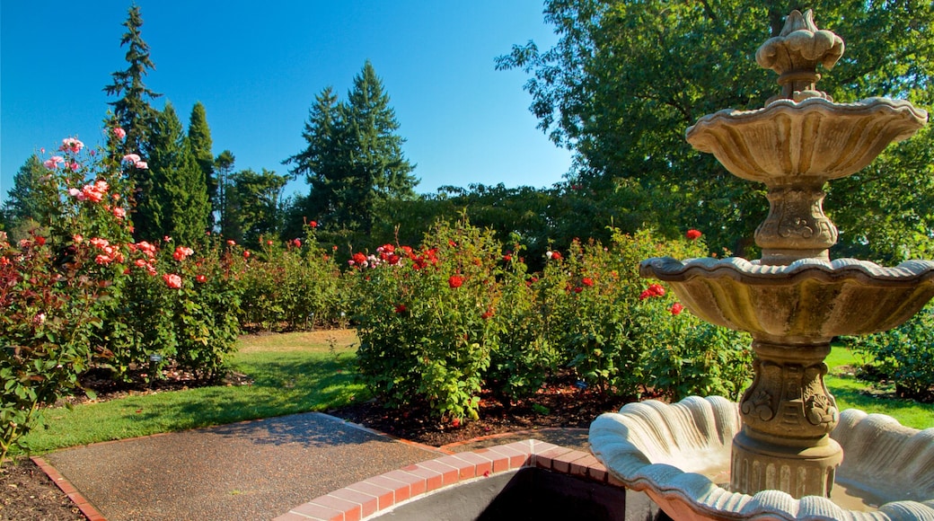 International Rose Test Garden ofreciendo flores, un parque y una fuente