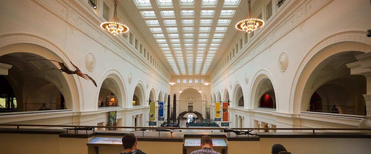 Field Museum of Natural History which includes interior views as well as a small group of people