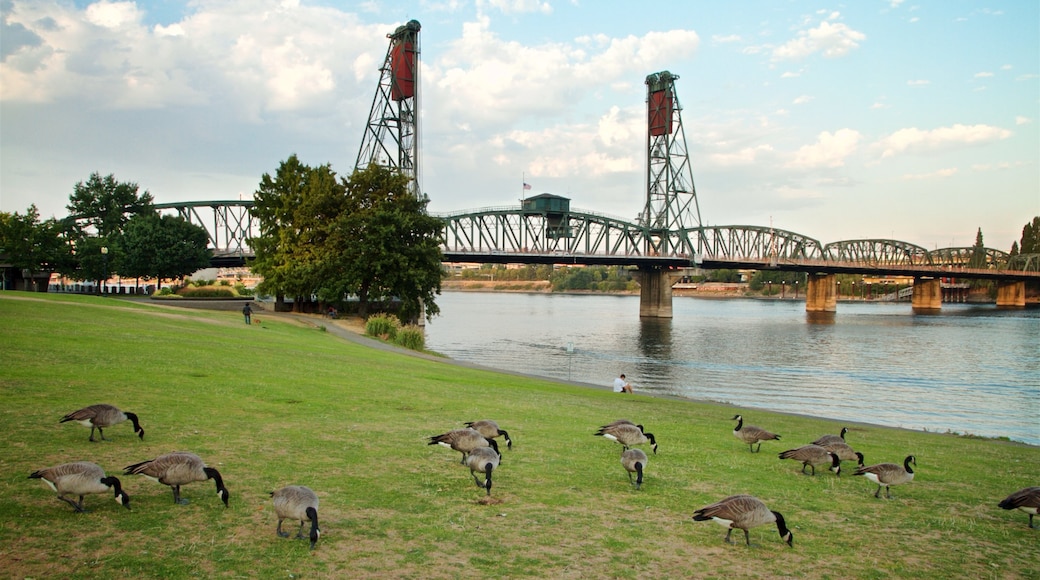 Taman Waterfront Tom McCall