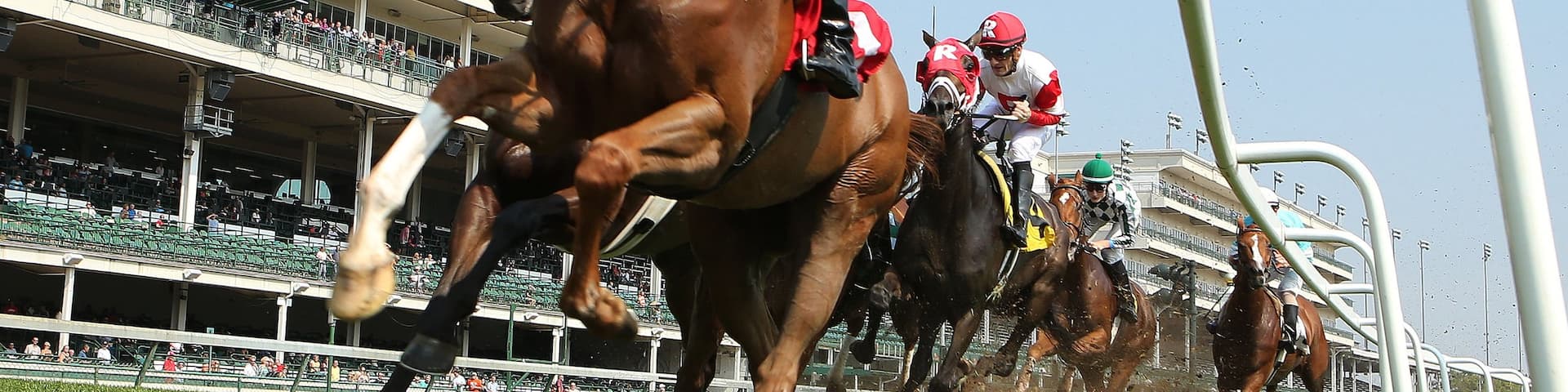 Churchill Downs showing horseriding and land animals as well as a small group of people