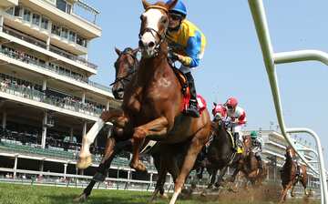 チャーチルダウンズ競馬場 サウス ルイビル エクスペディア チャーチルダウンズ競馬場 サウス ルイビル エクスペディア