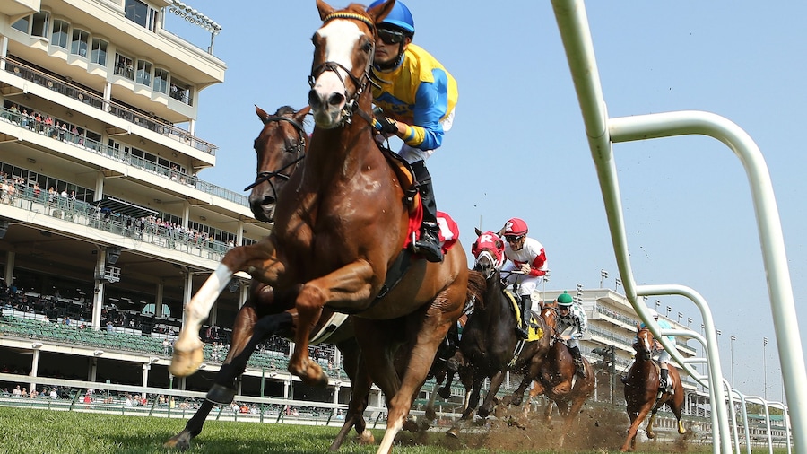 Churchill Downs mostrando equitación y animales terrestres y también un pequeño grupo de personas