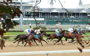 チャーチルダウンズ競馬場 サウス ルイビル エクスペディア チャーチルダウンズ競馬場 サウス ルイビル エクスペディア
