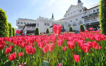 チャーチルダウンズ競馬場 サウス ルイビル エクスペディア チャーチルダウンズ競馬場 サウス ルイビル エクスペディア