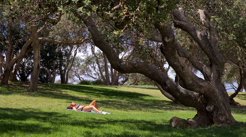 Playa de Coogee ofreciendo un parque y también una mujer