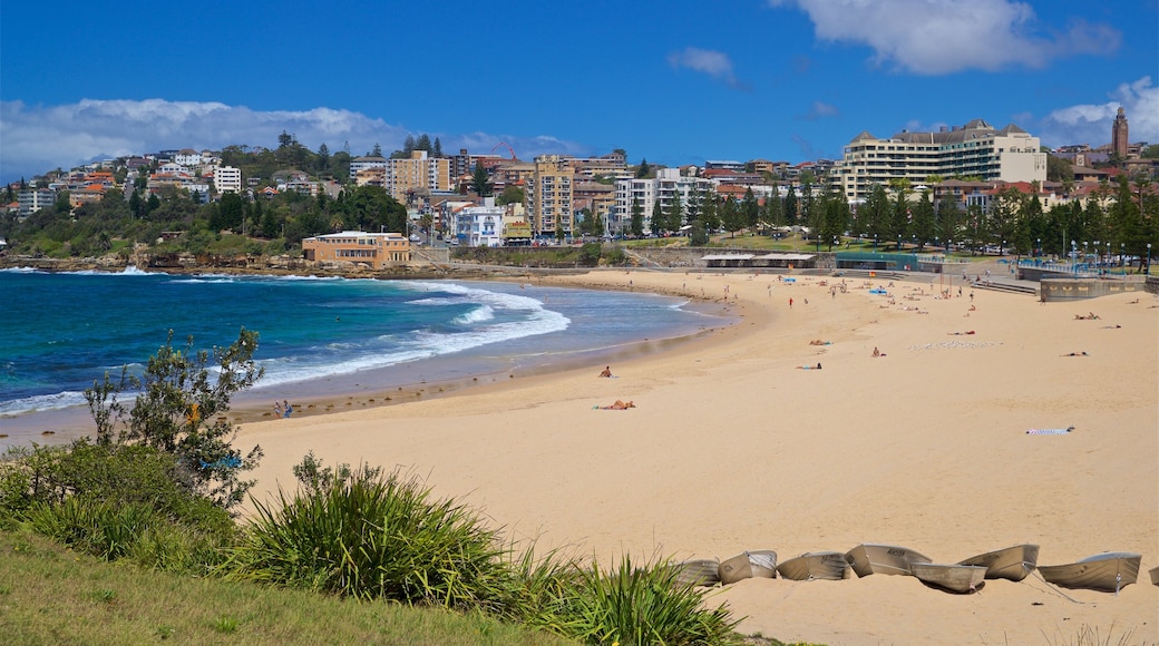 Coogee Beach featuring a coastal town, a sandy beach and general coastal views