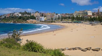 Playa de Coogee ofreciendo una localidad costera, vistas de una costa y una playa de arena