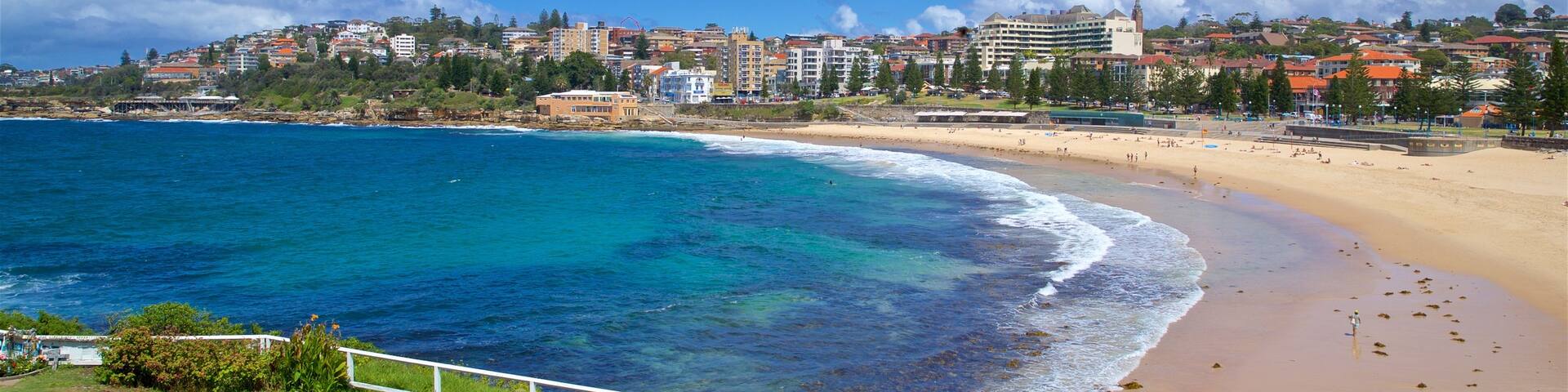 Coogee Beach featuring a beach, a coastal town and general coastal views