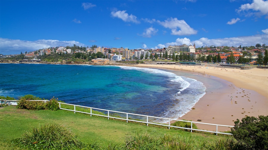 Coogee Beach featuring a beach, a coastal town and general coastal views