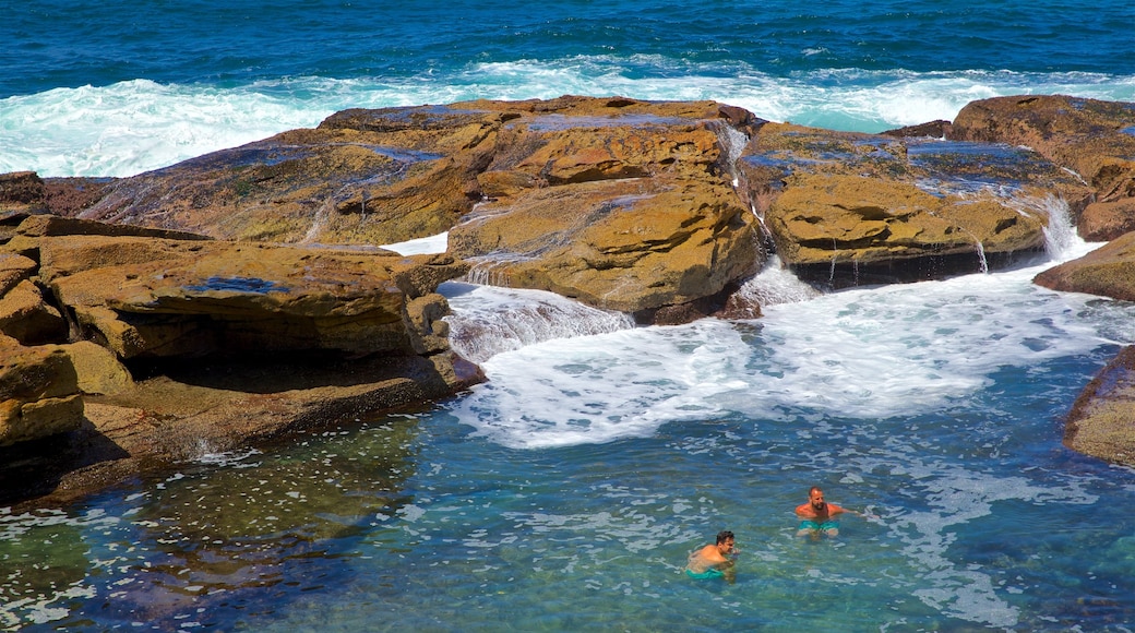 Coogee Beach showing rugged coastline, general coastal views and swimming