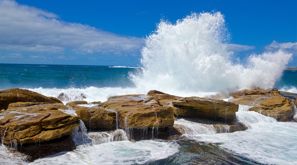 Coogee Beach featuring surf, general coastal views and rugged coastline