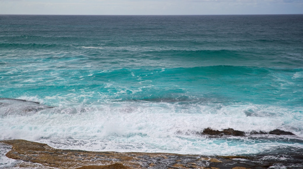 Tamarama Beach featuring general coastal views