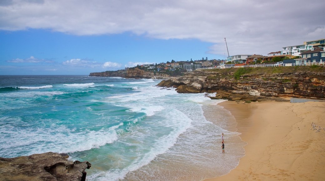 Tamarama Beach som visar en sandstrand, en kuststad och kustutsikter