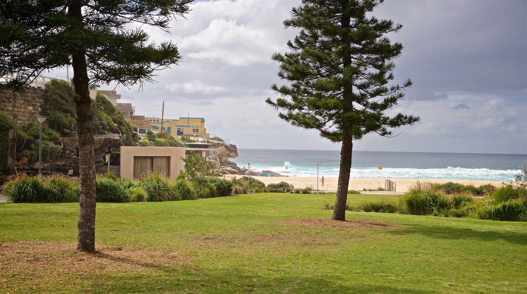 Tamarama Beach showing general coastal views and a park