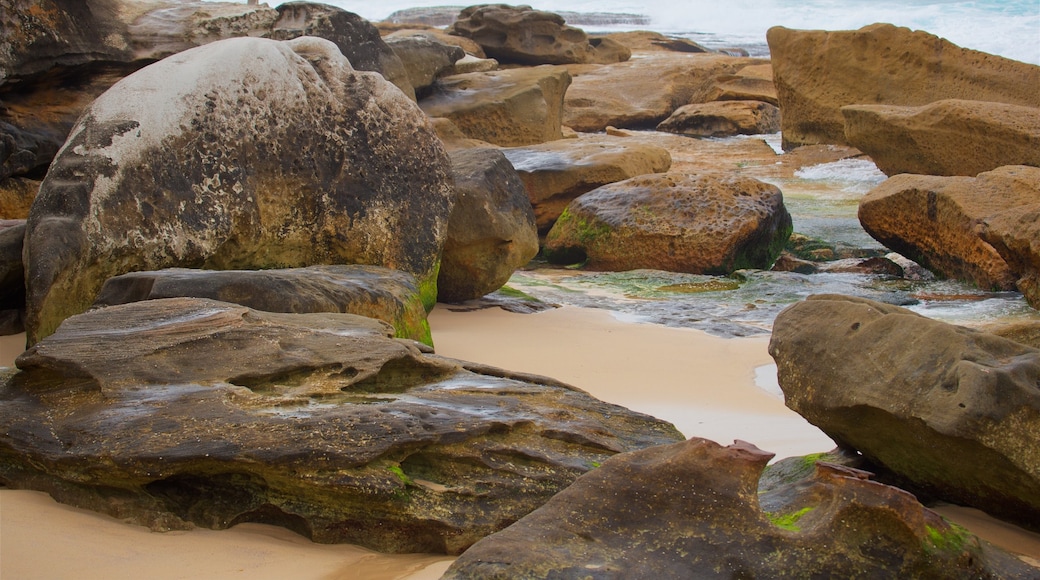 Tamarama Beach showing general coastal views