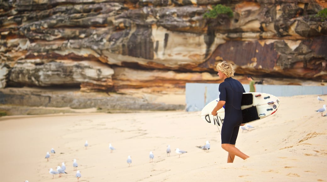 Tamarama Beach inclusief een strand, algemene kustgezichten en surfen