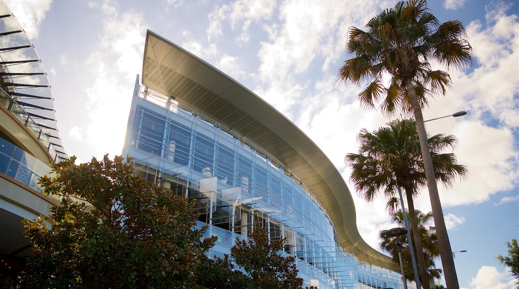 Star Casino showing modern architecture