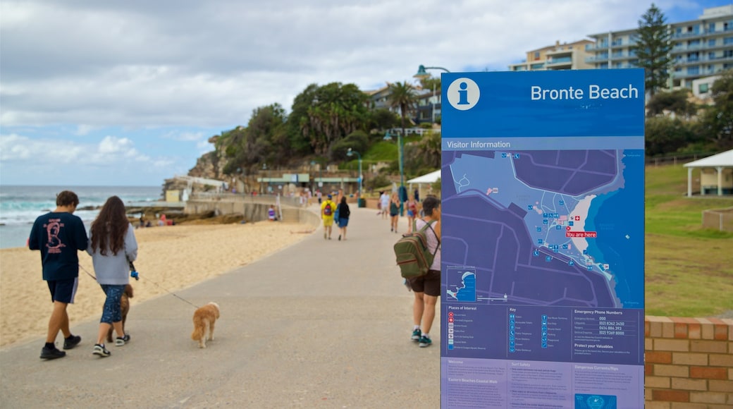 Bronte Beach showing hiking or walking, general coastal views and signage