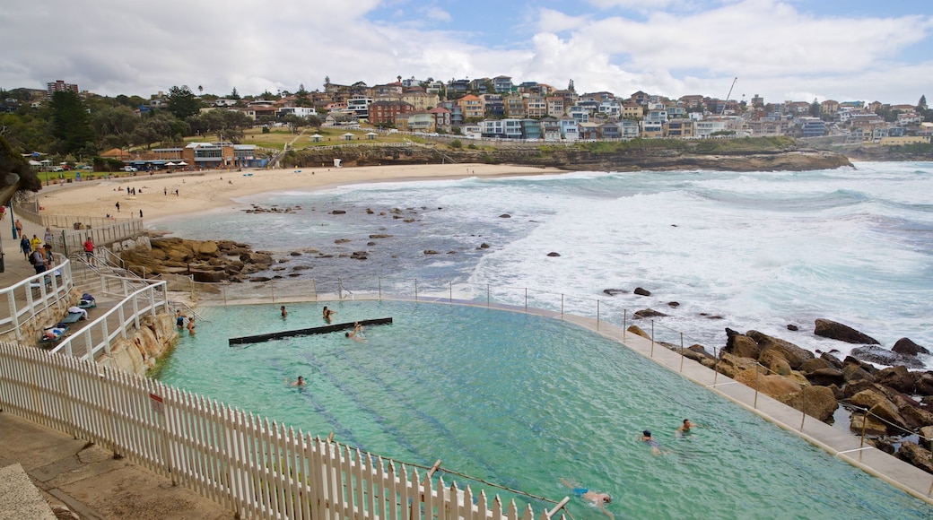 Bronte Beach bevat algemene kustgezichten en een kuststadje