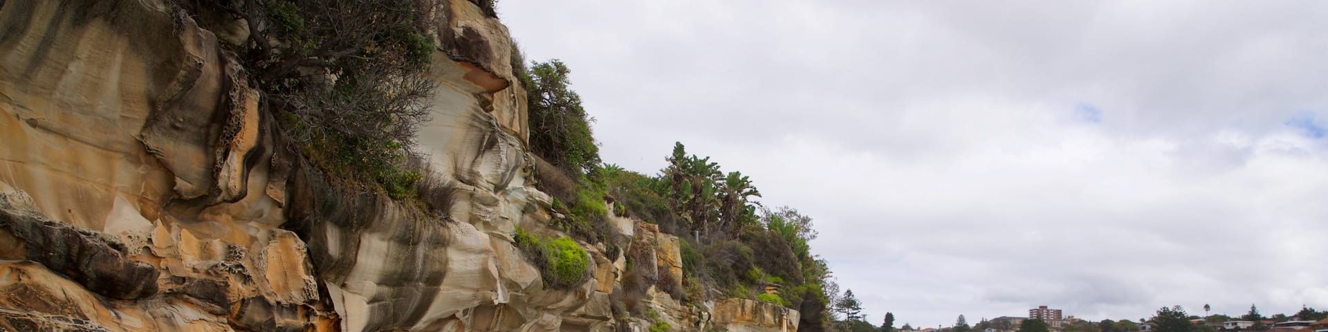 Bronte Beach featuring rocky coastline and general coastal views