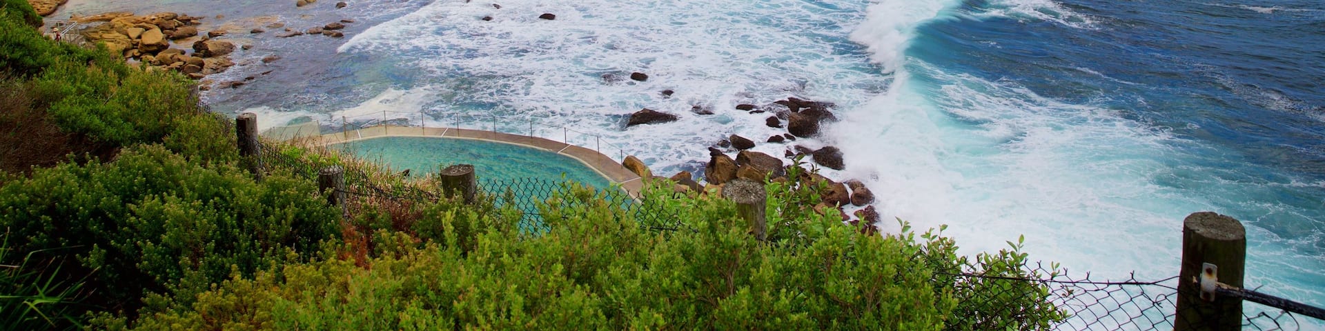 Bronte Beach showing general coastal views and a coastal town