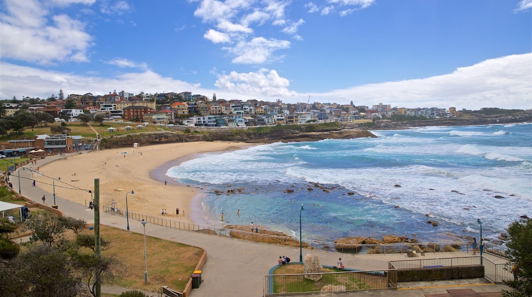 Bronte Beach which includes a sandy beach, a coastal town and general coastal views