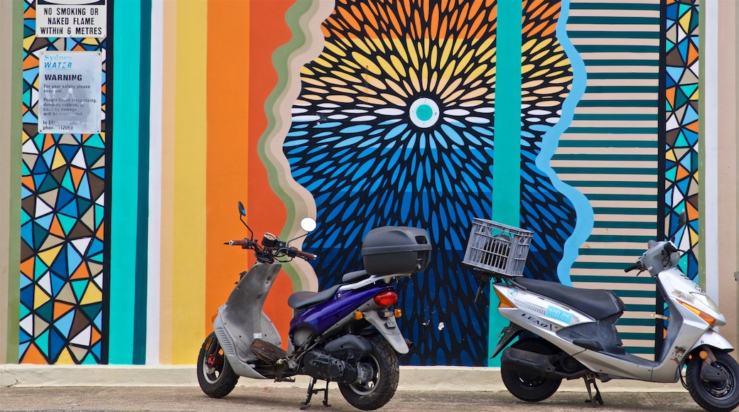 Bronte Beach showing outdoor art