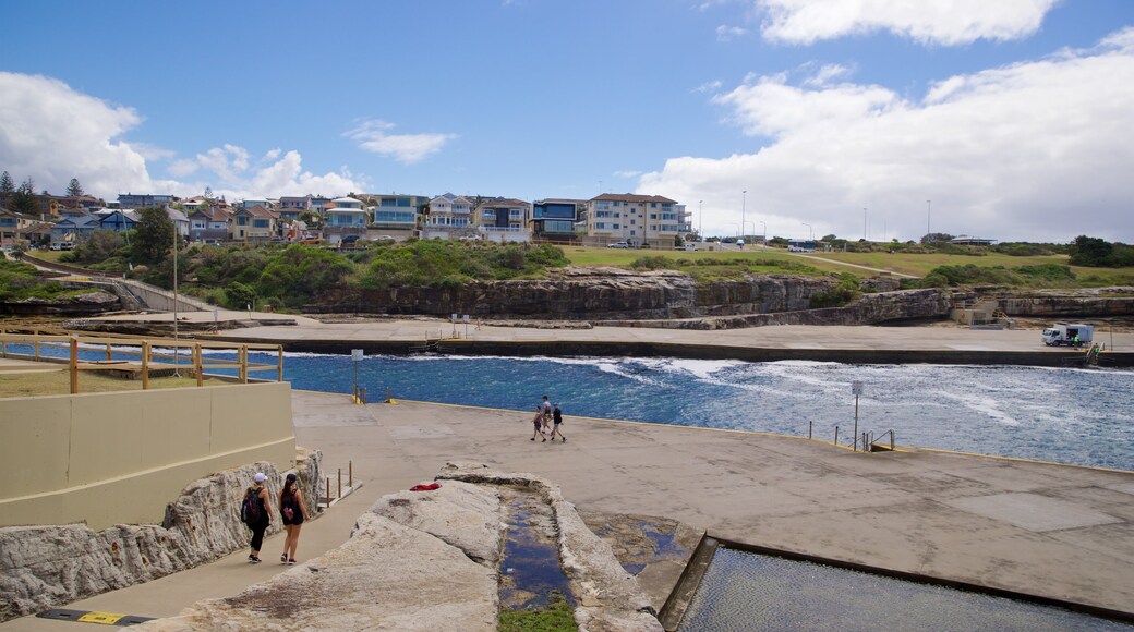 Clovelly Beach featuring a coastal town and a river or creek