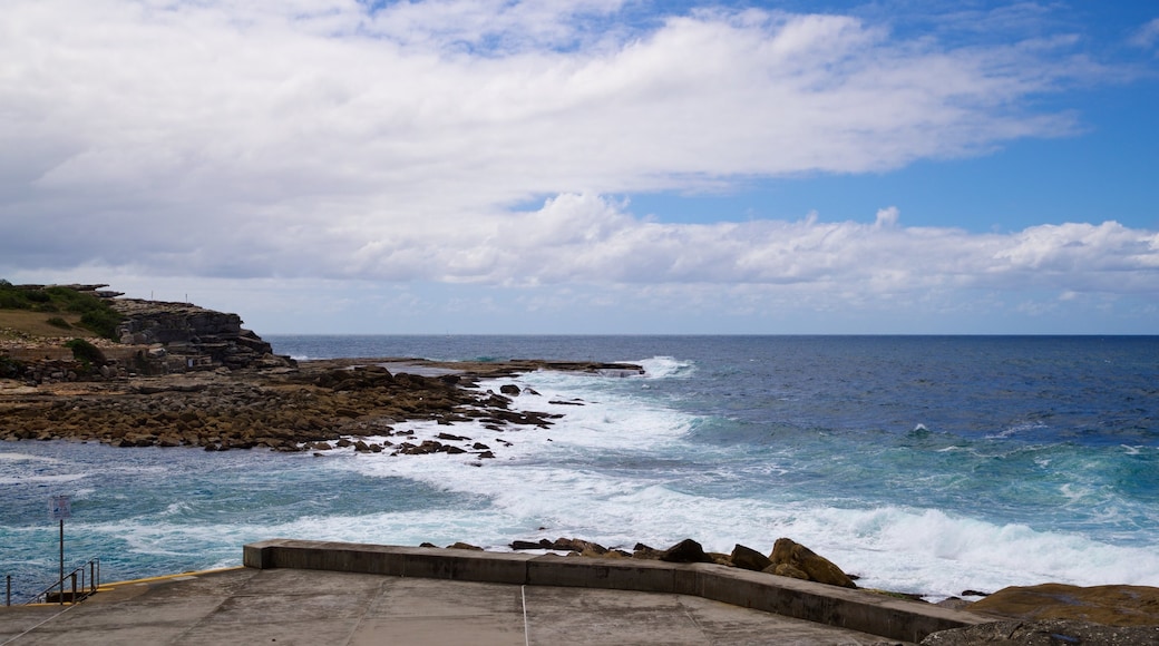 Clovelly Beach showing general coastal views and rocky coastline