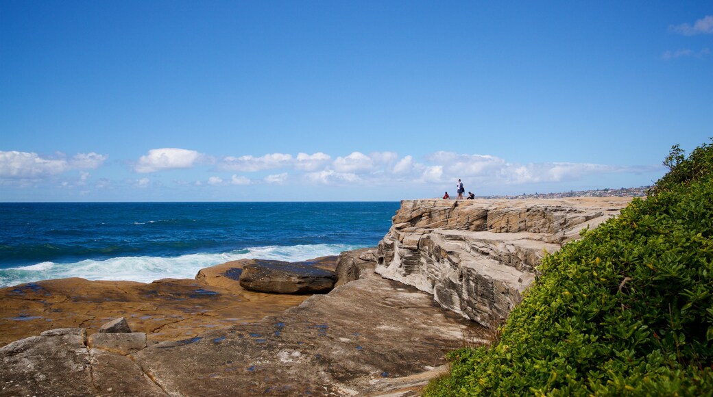 Clovelly Beach showing rugged coastline and general coastal views