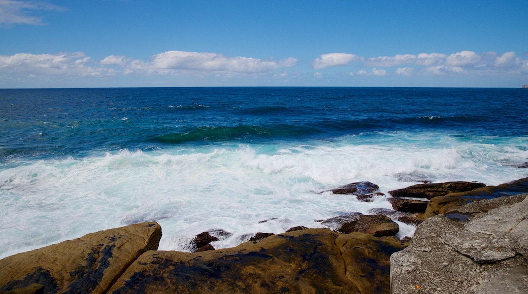 Clovelly Beach featuring rocky coastline and general coastal views