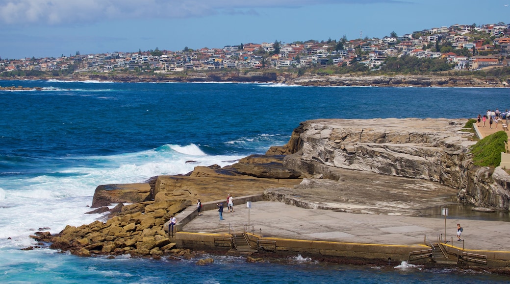 Playa de Clovelly mostrando litoral rocoso, una localidad costera y vistas de una costa