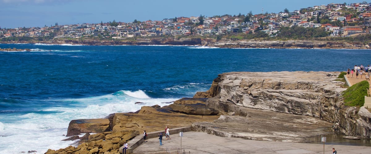 Clovelly Beach which includes rocky coastline, general coastal views and a coastal town