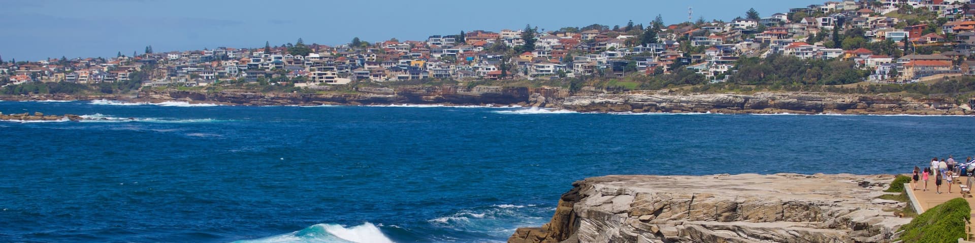 Clovelly Beach featuring a coastal town, rocky coastline and general coastal views