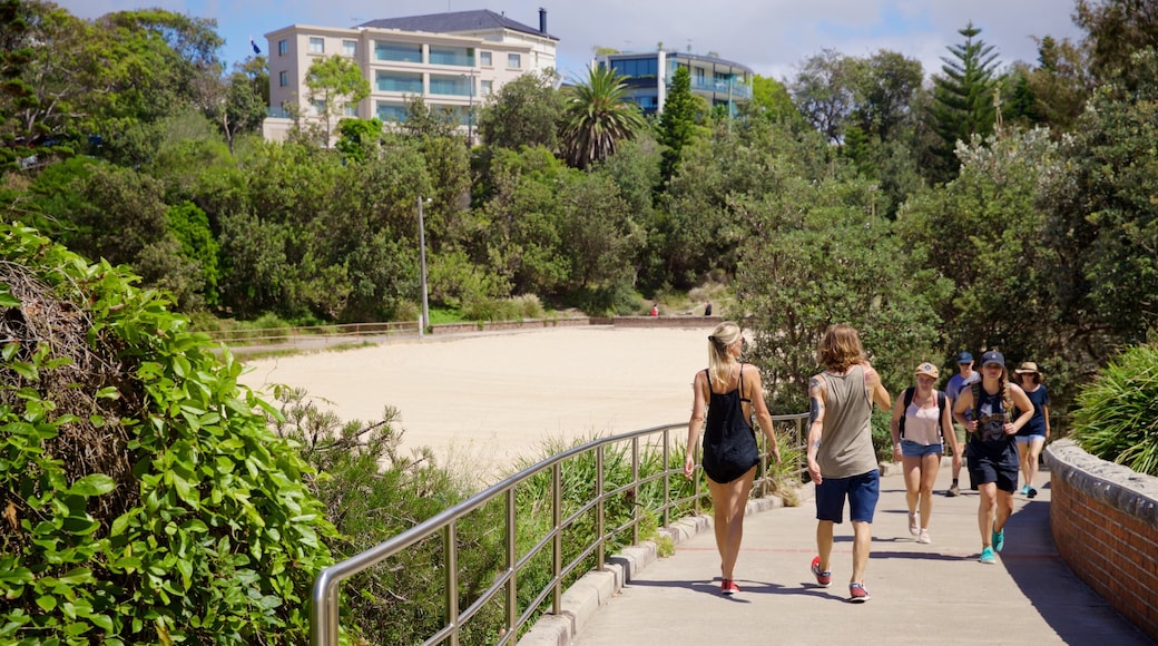 Clovelly Beach showing hiking or walking as well as a couple