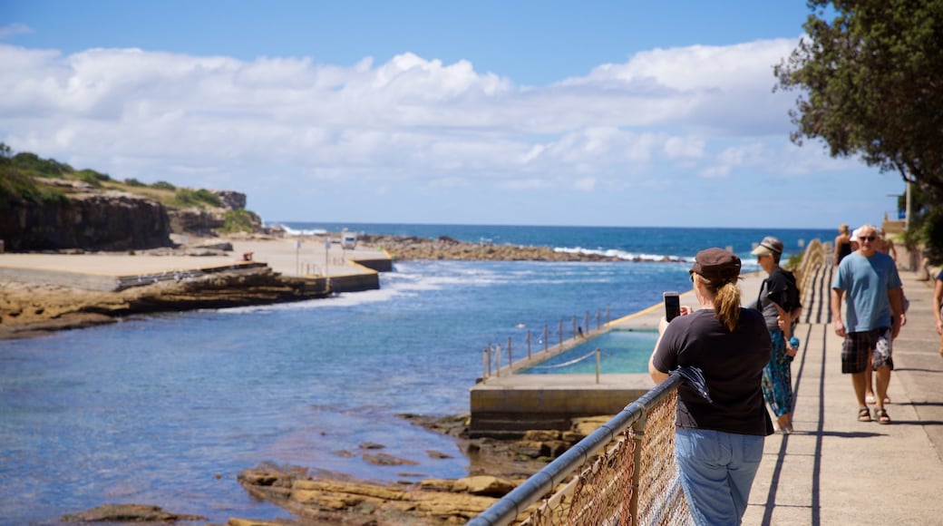 Clovelly Beach caracterizando paisagens litorâneas assim como um pequeno grupo de pessoas