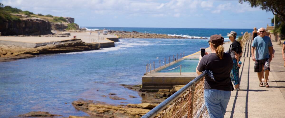 Clovelly Beach featuring general coastal views as well as a small group of people